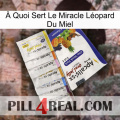 À Quoi Sert Le Miracle Léopard Du Miel 11